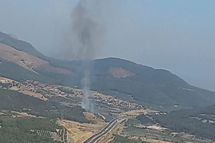 Manisa Soma'da orman yangını!