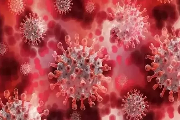 Türkiye'de Koronavirüs Eris varyantı görüldü mü? Bilim Kurulu Üyesi Şener'den açıklama haberinin görseli