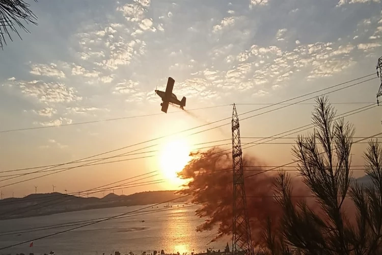 Aliağa’da orman yangını çıktı! haberinin görseli