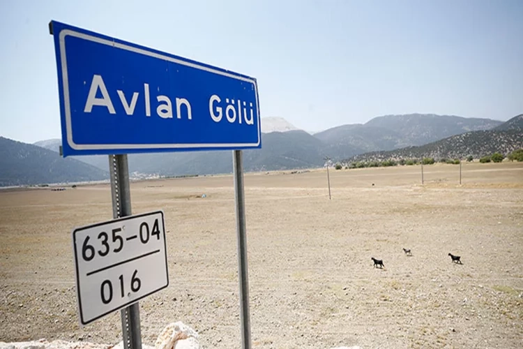 Avlan Gölü'nde sular çekildi meydan çobanlara kaldı