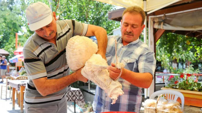 KARAKILCIK_ilkses (5)