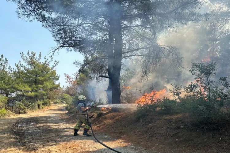 Çanakkale’deki orman yangınına İzmir’den destek