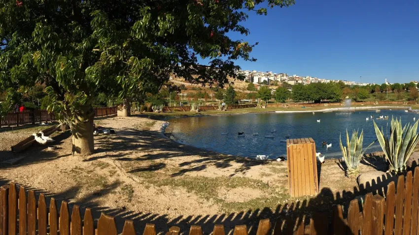 aşık veysel-ilkses-1