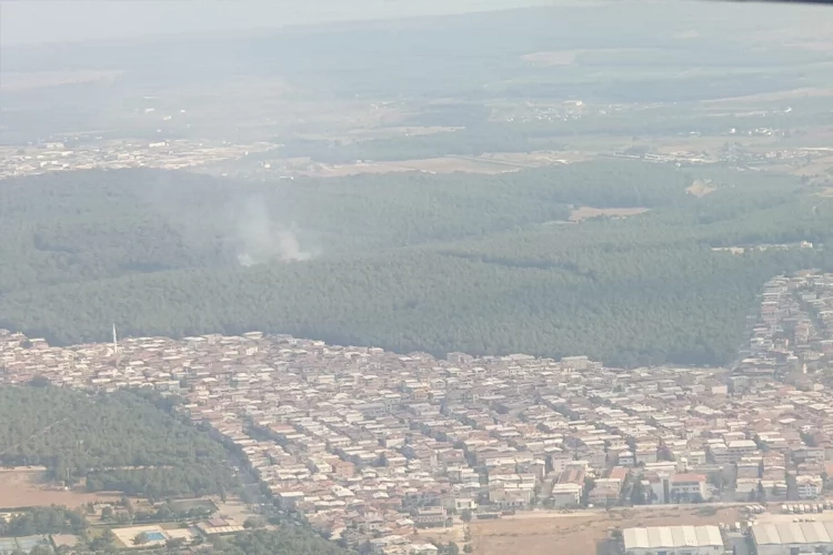 İzmir Buca'da orman yangını!