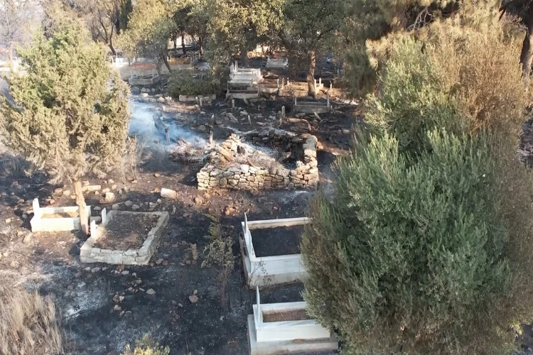 Çanakkale yangınında yürek yakan detaylar ortaya çıkıyor