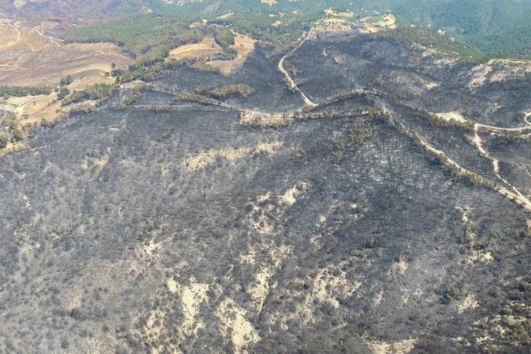 3 gün süren Çanakkale yangını kontrol altına alındı