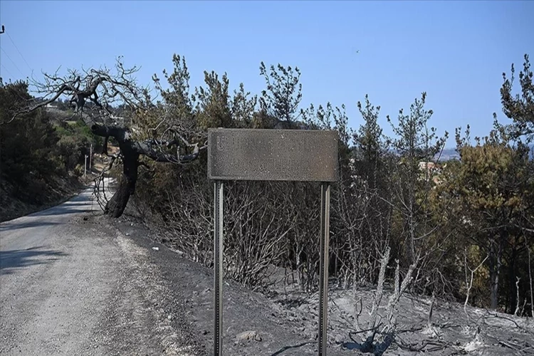 Çanakkale'deki orman yangınında binlerce kişi tahliye edildi