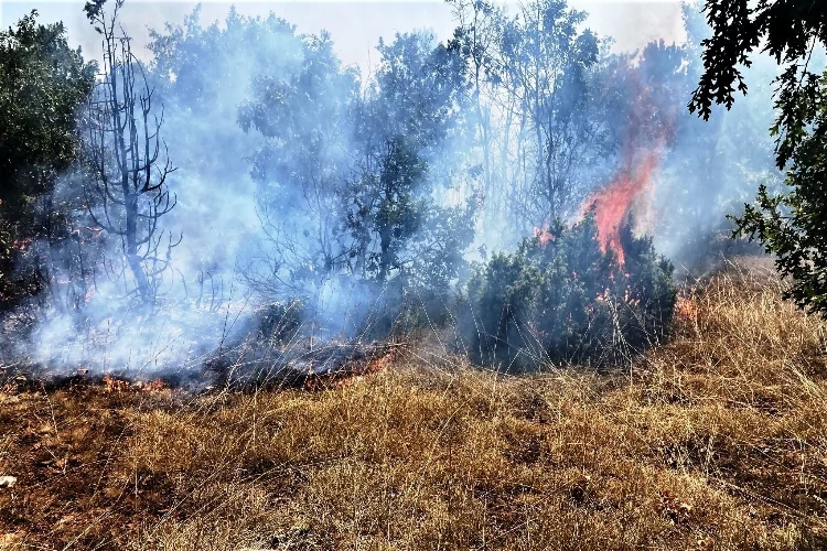 Kütahya'da peş peşe yangın: Ciğerleri yok oluyordu! haberinin görseli