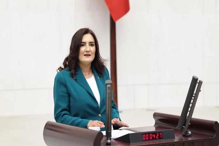 CHP’li Kılıç, Tarım Bakanı’na sordu: Kanserojen yumurtalar ne oldu?