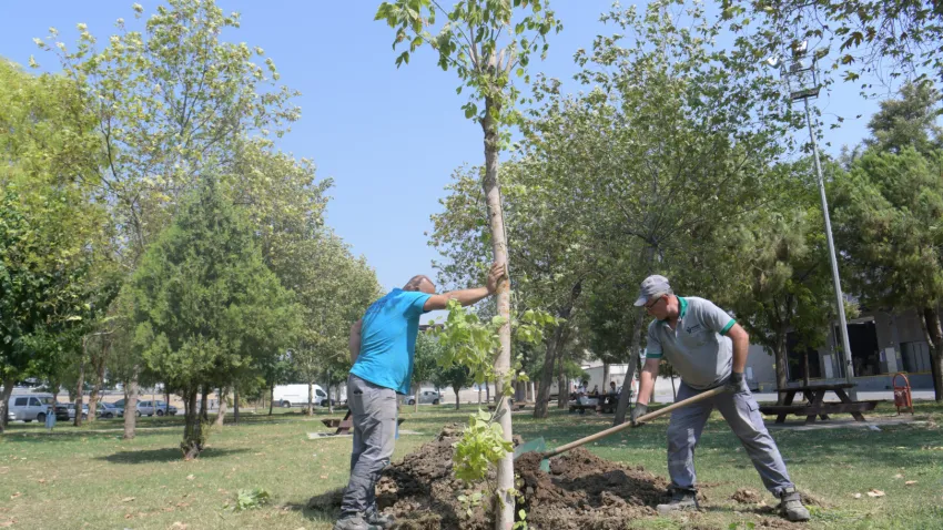 yeni park_ilkses (4)