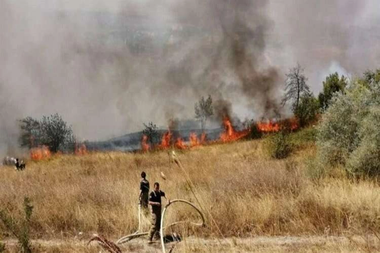 İstanbul'da korkutan orman yangını haberinin görseli