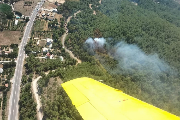 Menderes'te korkutan orman yangını haberinin görseli