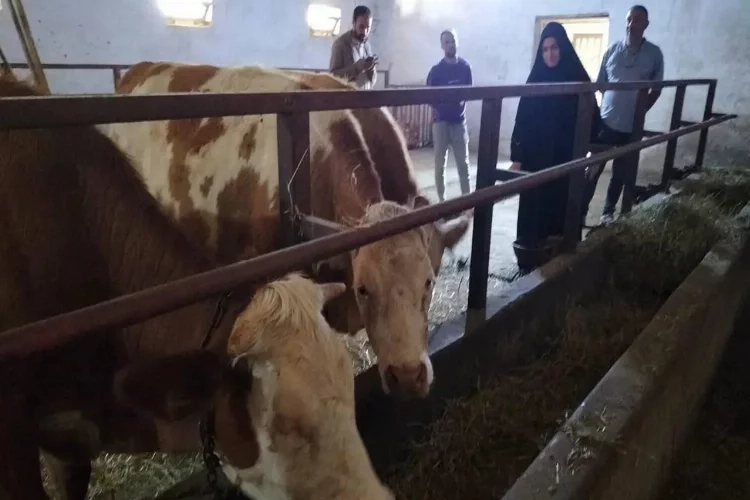 Ziraat mühendisi girişimci, kırsal kalkınma projesiyle işletmesini kurdu haberinin görseli
