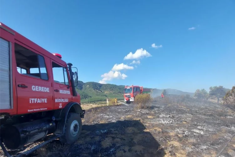 Bolu’da 5 dönümlük alanı küle çeviren yangın haberinin görseli