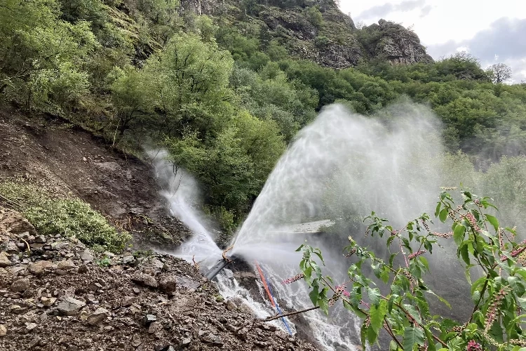 Artvin’de bulunan yaralı atmaca tedavi edilecek