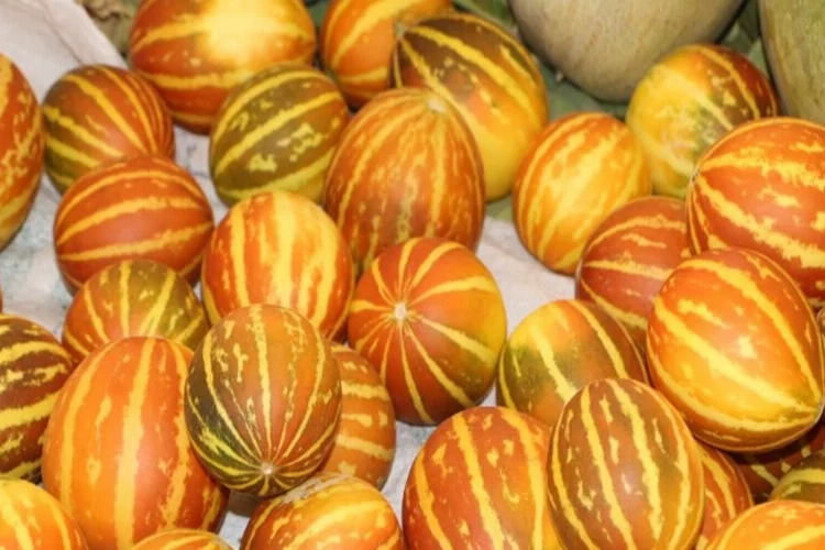 Organik ürünler pazarı nefes aldırdı haberinin görseli