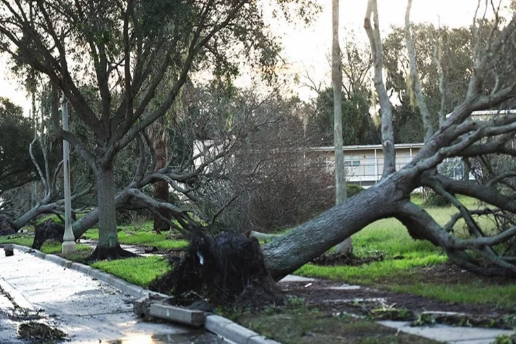Idalia Fırtınası Florida' kaos getirecek haberinin görseli