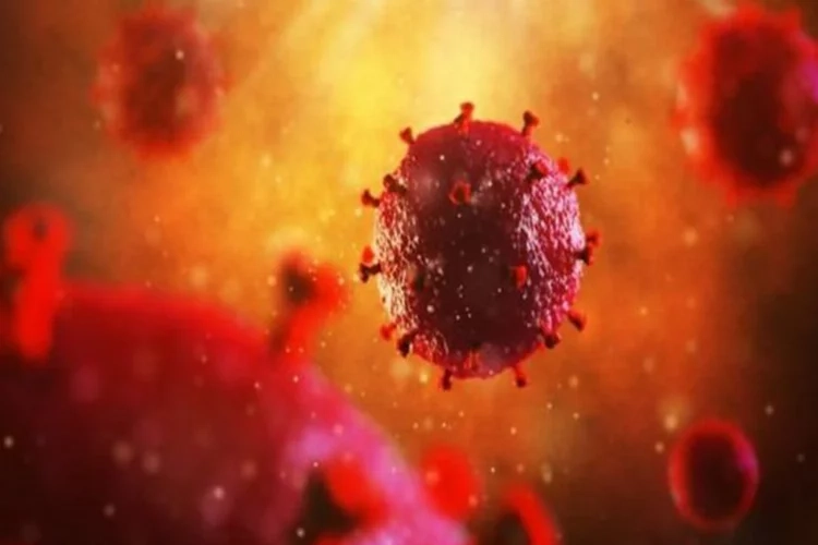 HIV-AIDS’te ölümleri azaltan yöntem! haberinin görseli