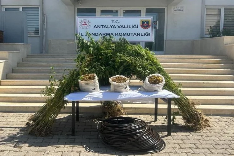 Antalya'da ormanlık alanda uyuşturucu operasyonu haberinin görseli