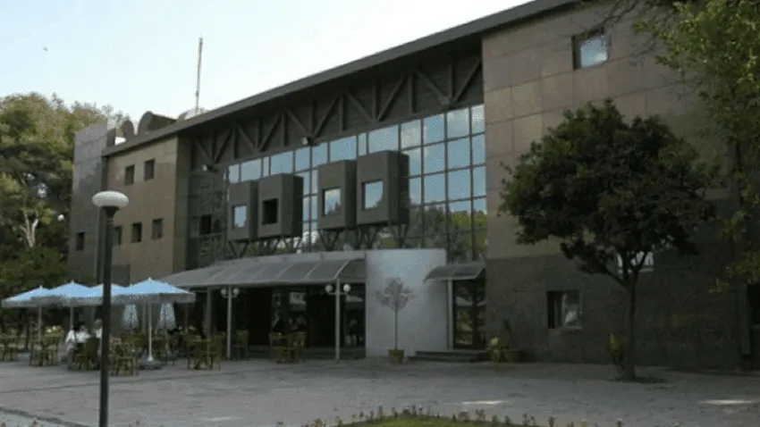 izmir sanat