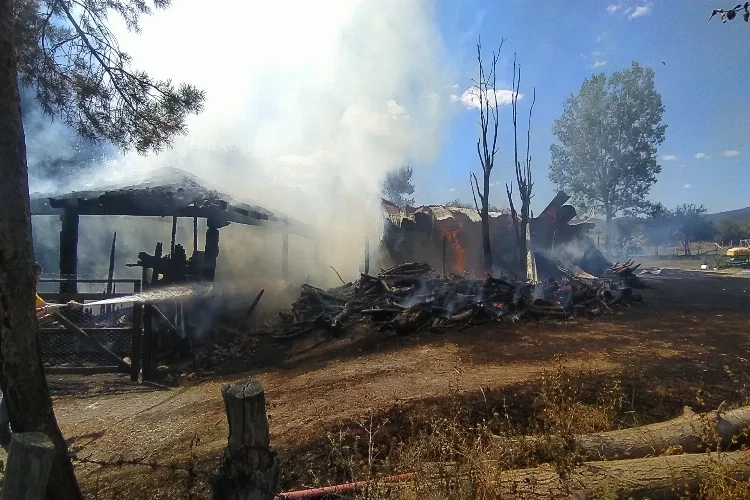 Kastamonu’da çıkan yangının hasarı büyük