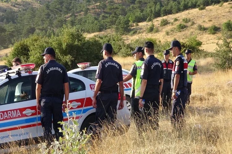 Çankırı'da büyükbaş hırsızlığı