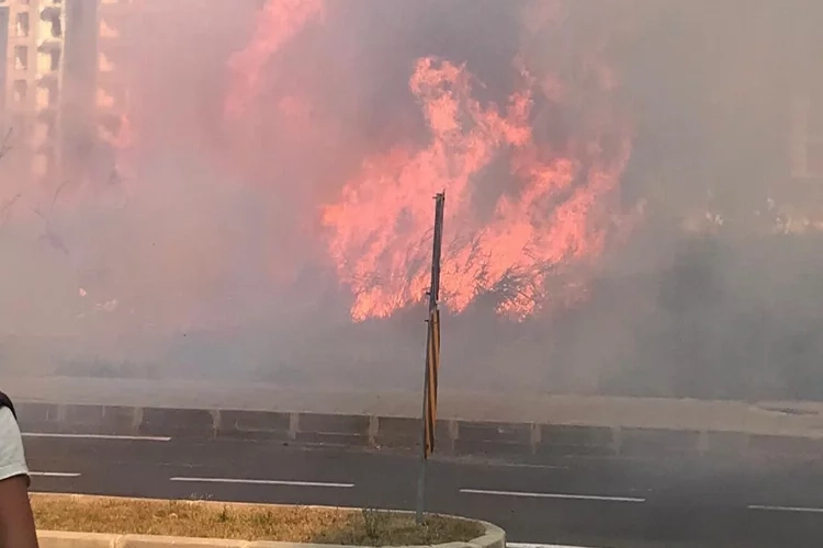 Tekirdağ'da korkutan yangın