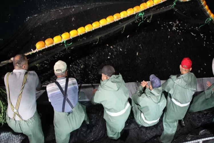 Sezonun ilk balıkları toplandı: Balıkçıların yüzü gülüyor haberinin görseli
