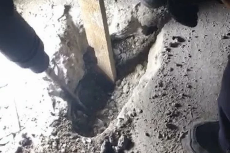 Bolu'da mahsur kalan köpeğin imdadına itfaiye yetişti haberinin görseli