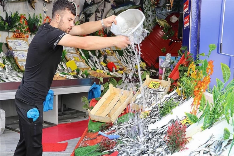 Av yasağı bitti: Edirne'de tezgahlar balıklarla doldu haberinin görseli