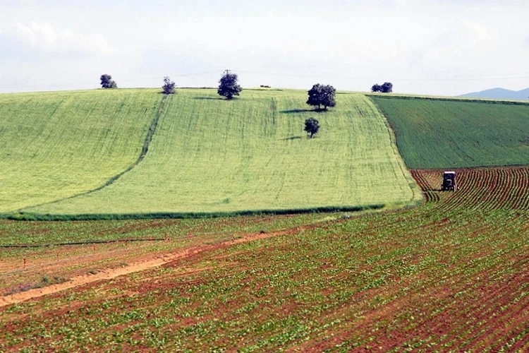 Resmi Gazete'de yayımlandı: Bayburt’ta arazi toplulaştırması yapılacak haberinin görseli