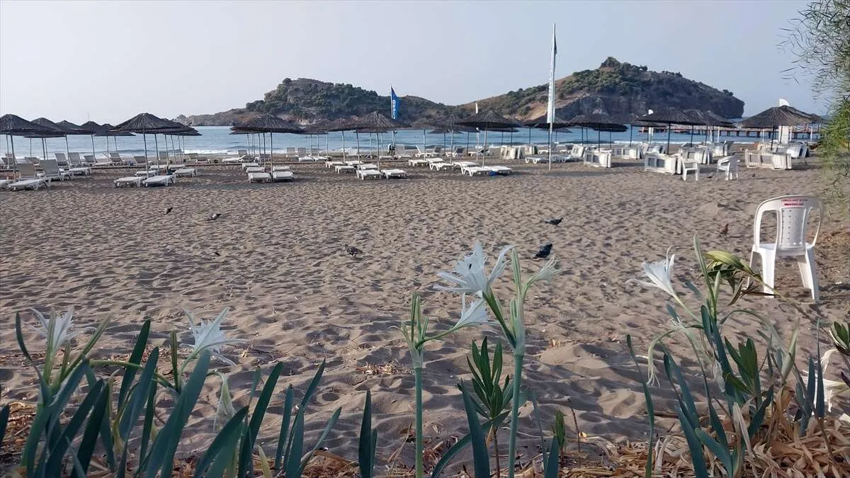 Muğla'da 