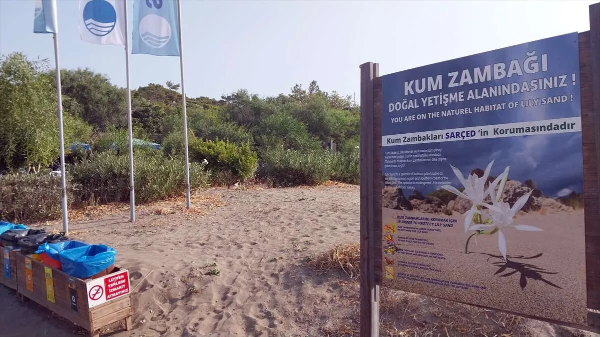 Muğla'da 