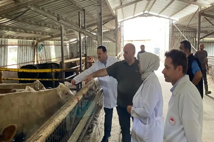 Aşılatmayana idari para cezası kesilecek haberinin görseli