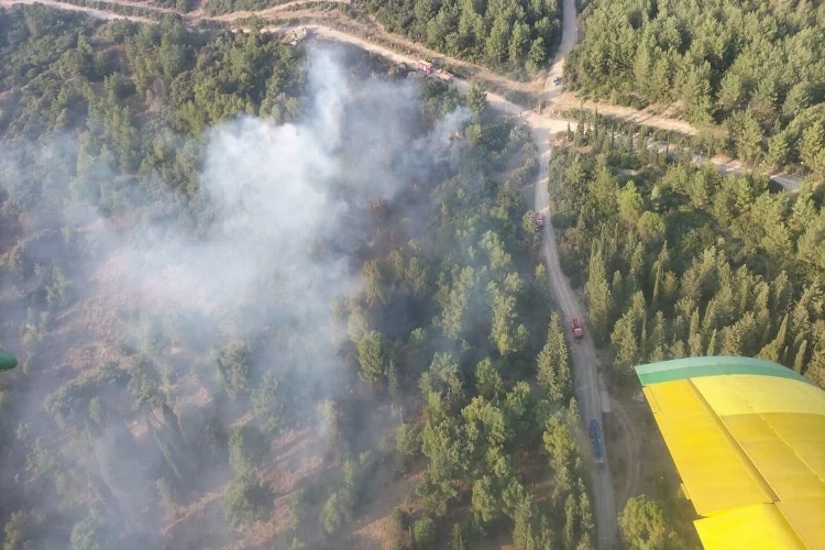 İzmir’de orman yangını çıktı! haberinin görseli