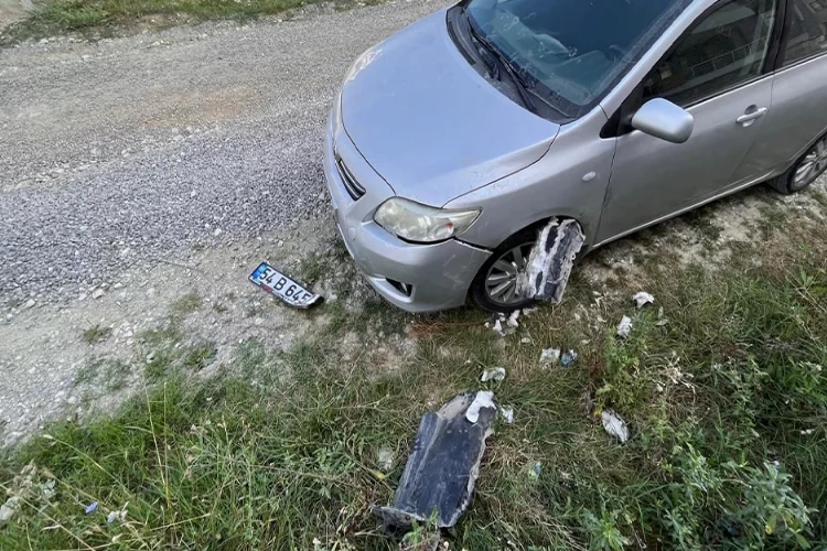 Sokak köpekleri park halindeki araca saldırdı