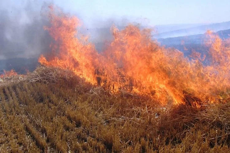 Afyon’da çiftçilere anız yakılmamasıyla ilgili uyarı haberinin görseli