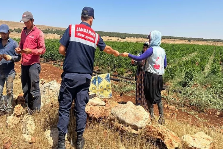 Jandarmadan çiftçilere anız yangını uyarısı