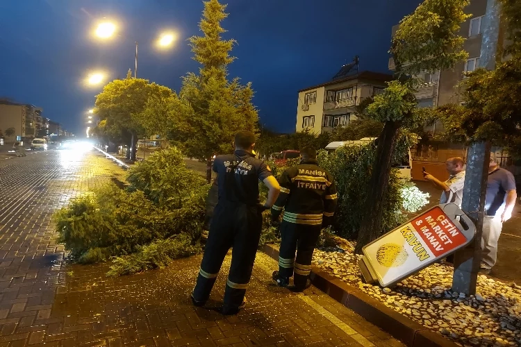 Manisa'da fırtına etkili oldu: Ağaçları devirdi! haberinin görseli