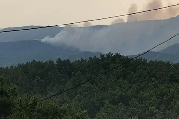 Marmaris'te yıldırım yangına sebep oldu! haberinin görseli