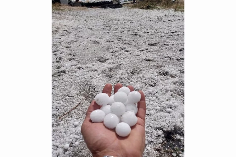 Ardahan’da şiddetli sağanak! Tarım alanları zarar gördü