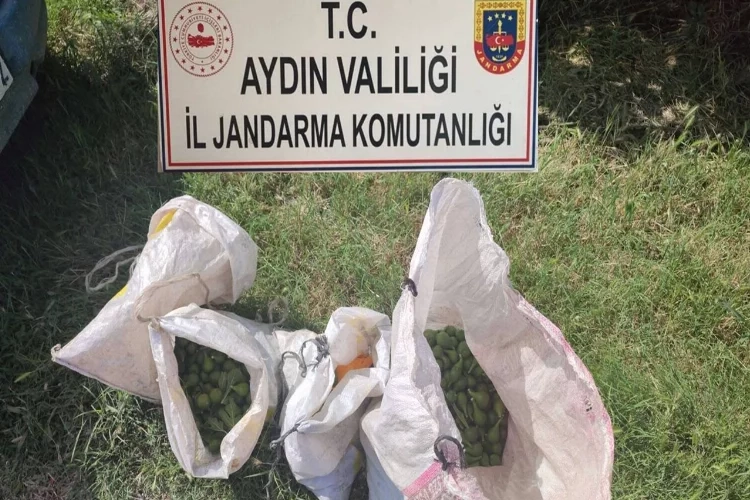 Jandarma’dan tarımsal ürün hırsızlığına izin yok