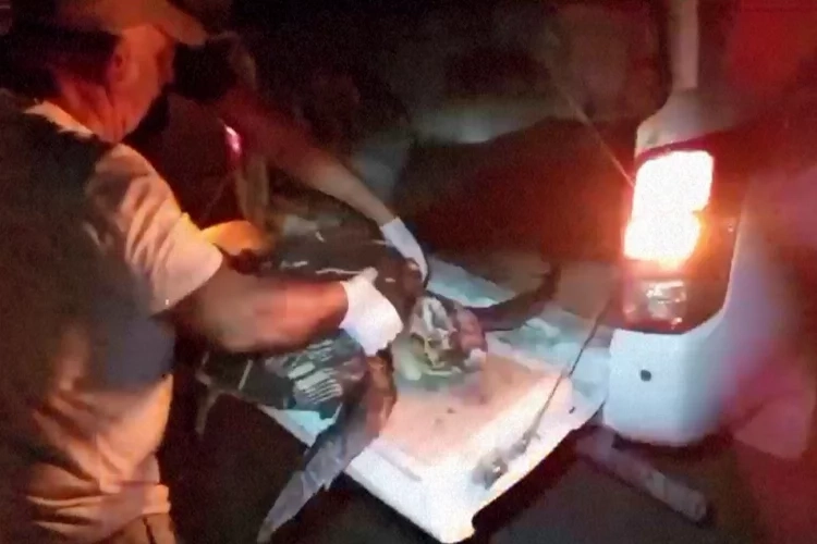 Yaralı deniz kaplumbağası için seferber oldular haberinin görseli