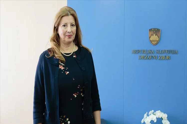 Türkiye-Slovenya ilişkileri değerlendirildi haberinin görseli