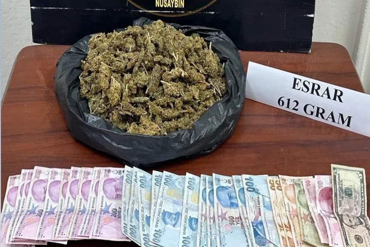 Mardin'de uyuşturucu operasyonu haberinin görseli