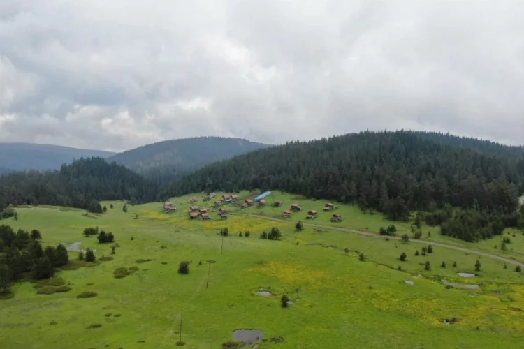 Kastamonu’nun yaylaları eşsiz manzarasıyla keşfedilmeyi bekliyor