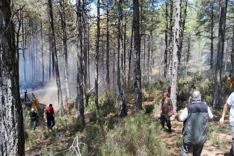Muğla'da yıldırım kaynaklı 36 yangın haberinin görseli