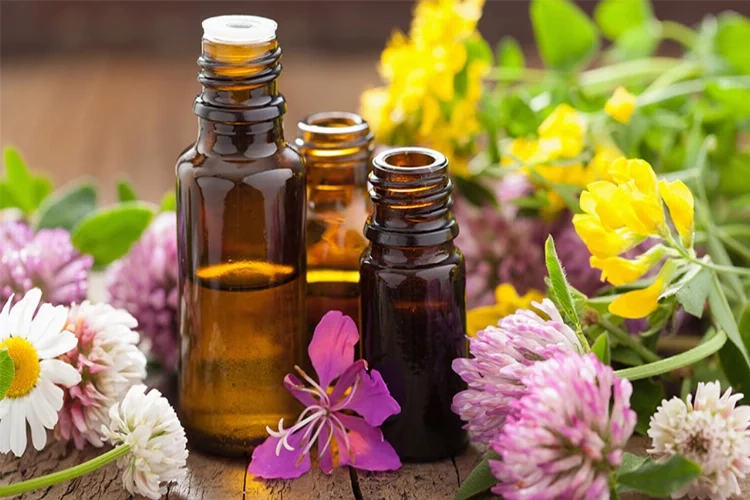 Aromaterapi nedir? Aromaterapi hangi hastalıklara çare olur ? Aromaterapi Yağı Nedir? haberinin görseli