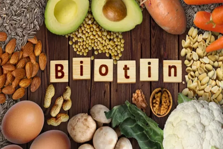 Biotin Nedir? Ne İşe Yarar? Biotin’in Saç dökülmesine karşı etkisi varmı ? Cilt ve Enerji için etkilimidir? haberinin görseli
