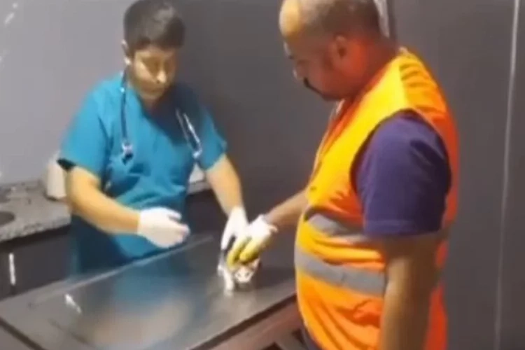 Yavru kediyi kurtarıp yıkıma devam ettiler haberinin görseli